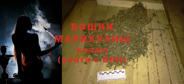 молекула духа Арсеньев