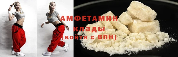 молекула духа Арсеньев