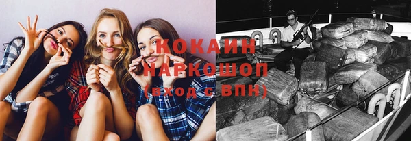молекула духа Арсеньев