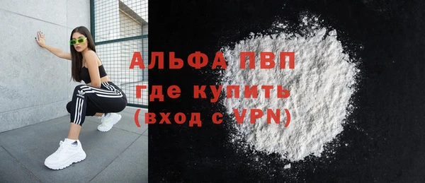 молекула духа Арсеньев